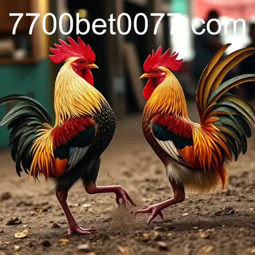 Exploring the World of 7700bet Online Sabong